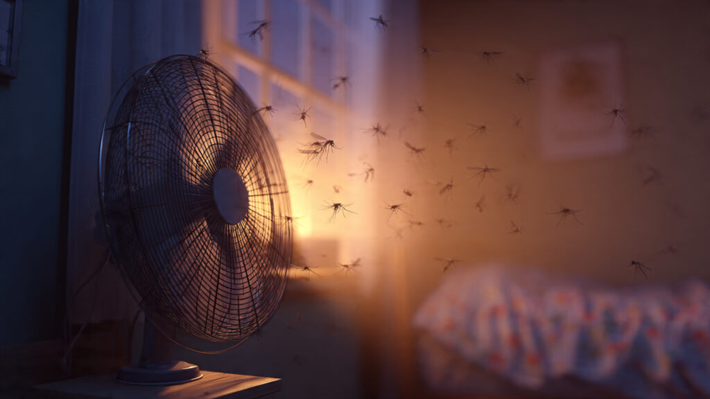 trap for mosquito control